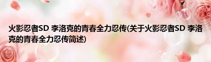 火影忍者SD 李洛克的青春全力忍传(关于火影忍者SD 李洛克的青春全力忍传简述)