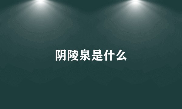 阴陵泉是什么