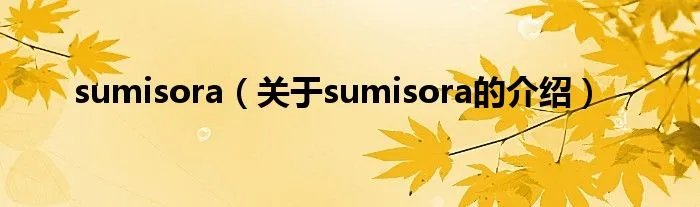 sumisora（关于sumisora的介绍）