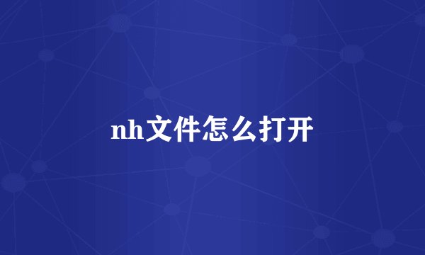 nh文件怎么打开