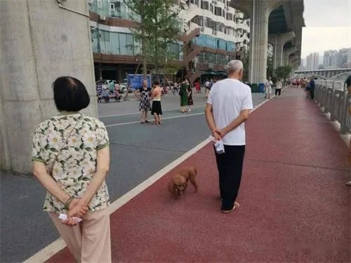 老人遛狗不栓绳被查抱狗痛哭 如何正确遛狗