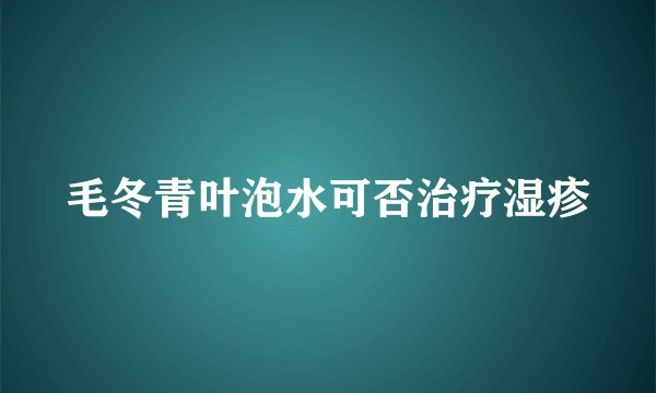 毛冬青叶泡水可否治疗湿疹