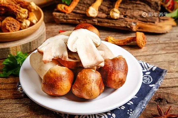 松茸怎么保存最好