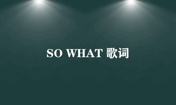 SO WHAT 歌词
