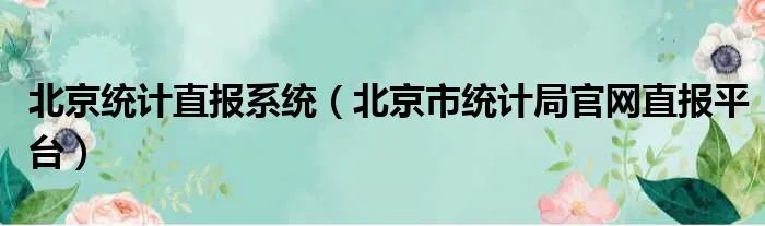 北京统计直报系统（北京市统计局官网直报平台）