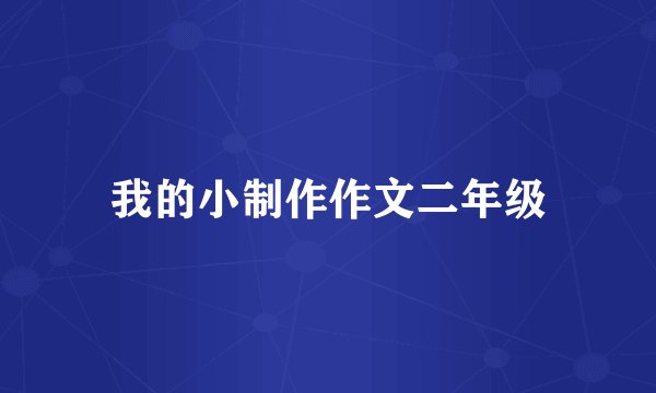 我的小制作作文二年级