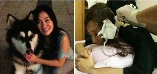 被狗毁掉星途的演员：李依晓没获得一句道歉，为何还要被骂整容脸？