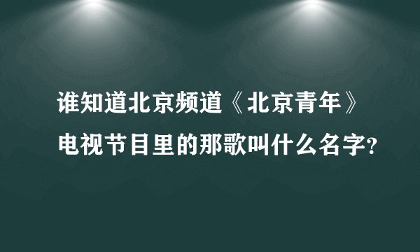 谁知道北京频道《北京青年》电视节目里的那歌叫什么名字？