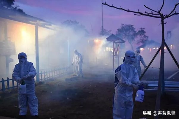 非洲新冠确诊和死亡病例出现较大增长，非洲要爆发了吗？如果爆发对世界抗疫有何影响？