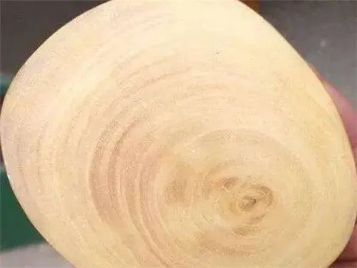 小叶黄杨木要不要上油