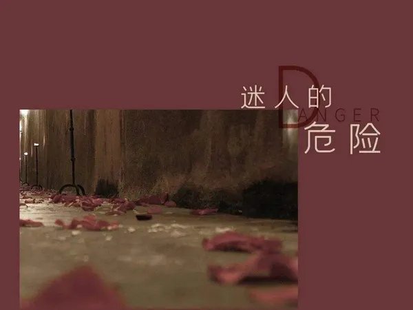 他不配站在你眼前你的痛怎能看不见是什么歌，迷人的危险歌曲介绍