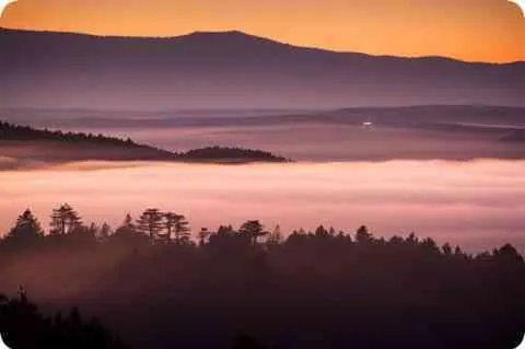 求贺军翔《心中的花园》的歌词？