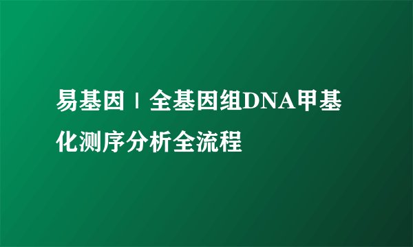易基因｜全基因组DNA甲基化测序分析全流程
