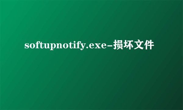 softupnotify.exe-损坏文件