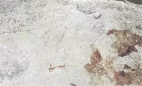 环卫工清扫时遇害，你是怎么看的？