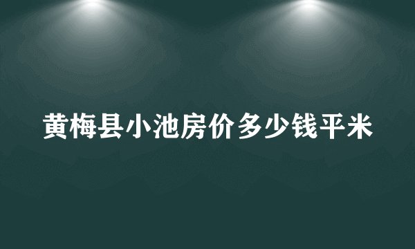 黄梅县小池房价多少钱平米