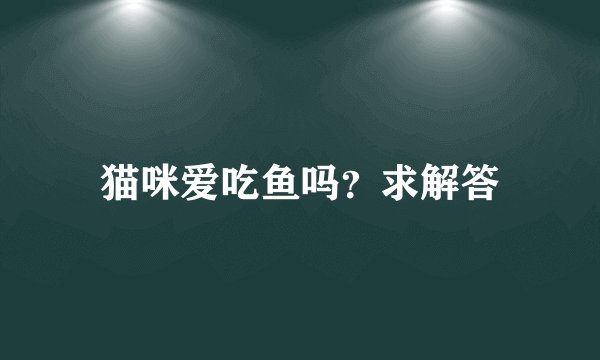 猫咪爱吃鱼吗？求解答