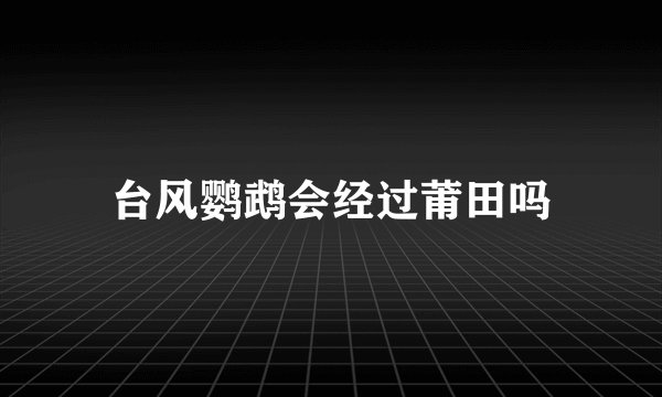 台风鹦鹉会经过莆田吗