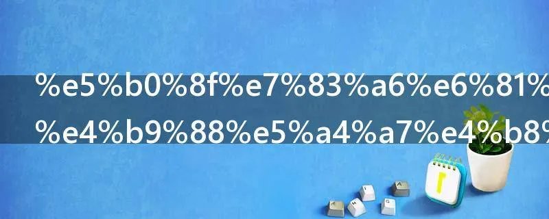 小烦恼没什么大不了歌词