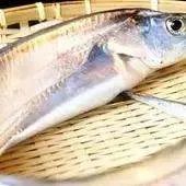 黄河鱽鱼现身黄河口，此类鱼已“消失”多长时间了？