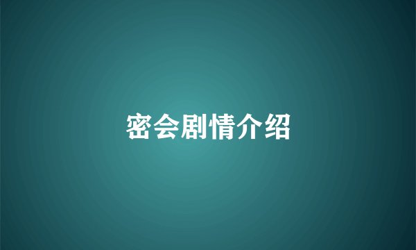 密会剧情介绍