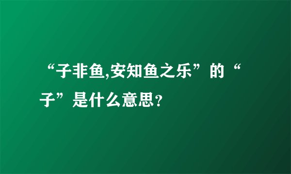 “子非鱼,安知鱼之乐”的“子”是什么意思？