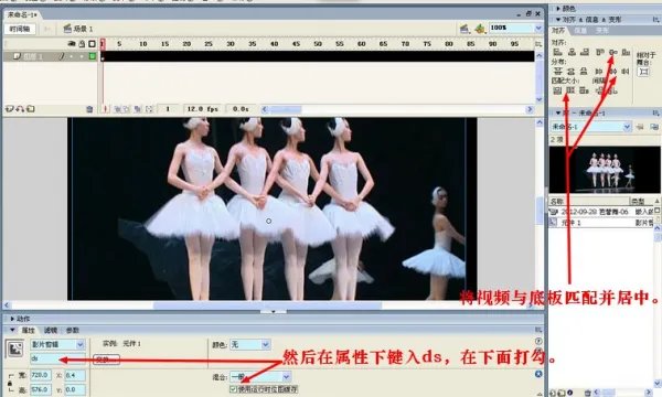 怎么用一个视频做成flash动画