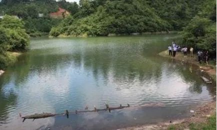 你如何看待“男孩溺亡家长告8同伴”这件事?