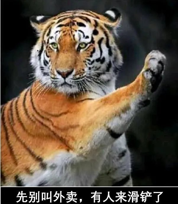 滑铲杀虎表情包大全