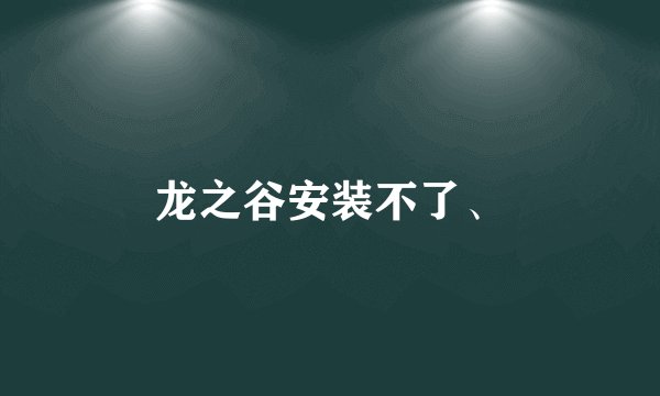 龙之谷安装不了、