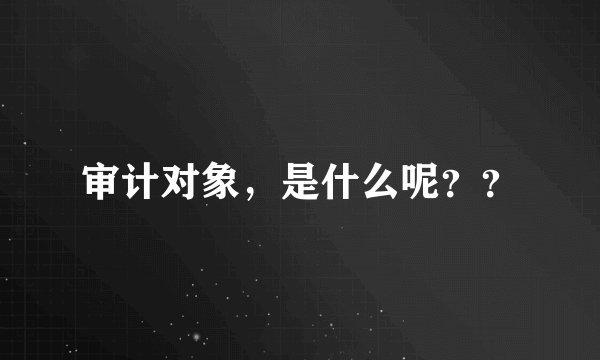 审计对象，是什么呢？？