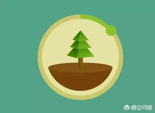 iphone必备十大付费软件