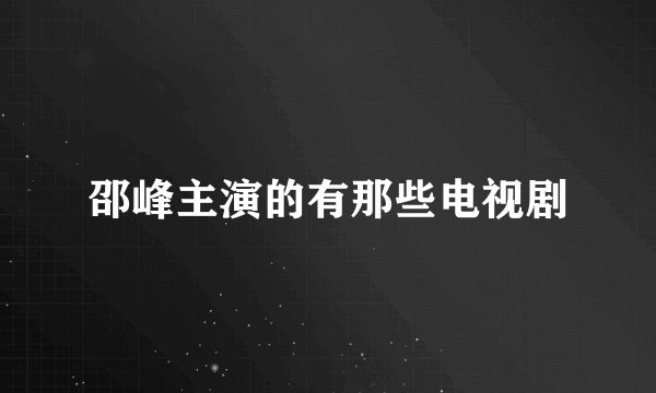 邵峰主演的有那些电视剧