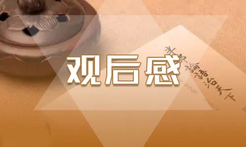 《夺冠》观后感作文800字范文五篇