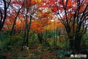 宜昌户外经典线路有哪些?