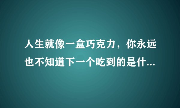 人生就像一盒巧克力，你永远也不知道下一个吃到的是什么味道。是什么意思？