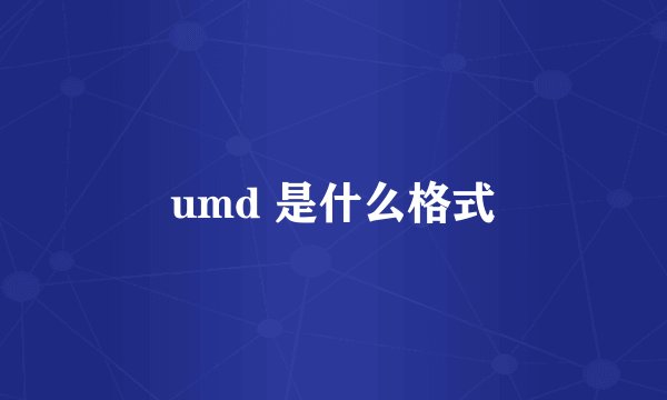umd 是什么格式