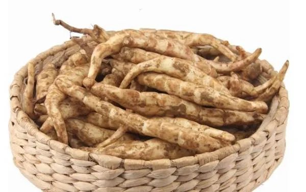 茎菜类作物大全