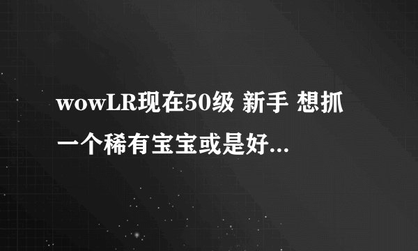 wowLR现在50级 新手 想抓一个稀有宝宝或是好一点的宝宝
