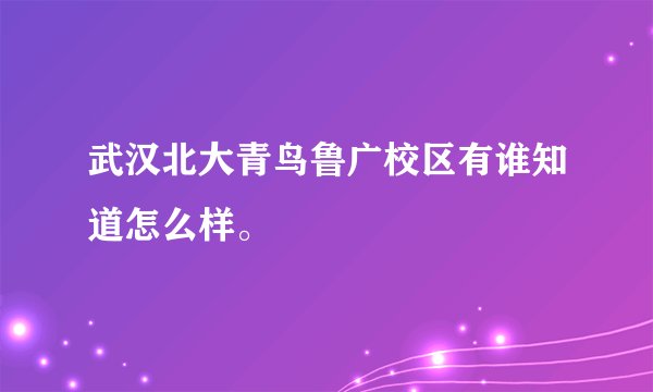 武汉北大青鸟鲁广校区有谁知道怎么样。