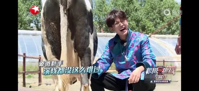 一生一世白鹿任嘉伦上映时间？