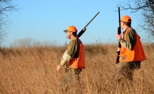 永嘉县民警假扮粉丝取证非法狩猎直播了吗？