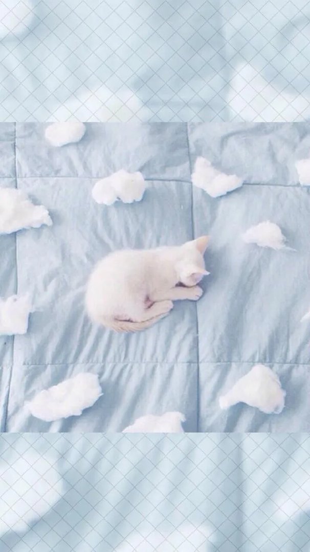 好看的锁屏壁纸有可以分享的吗？