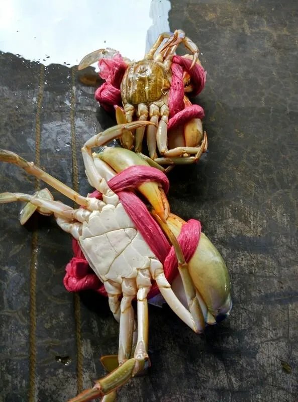 惠州惠东港口镇好不好玩，听说有很多海鲜？