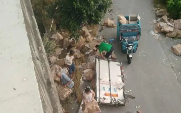 哄抢猪肉价值超三千或面临3年以下刑责,处罚是不是太重?