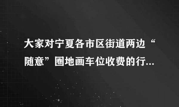 大家对宁夏各市区街道两边“随意”圈地画车位收费的行为怎么看？