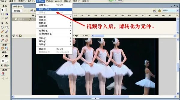 怎么用一个视频做成flash动画