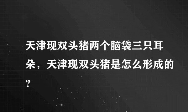 天津现双头猪两个脑袋三只耳朵，天津现双头猪是怎么形成的？