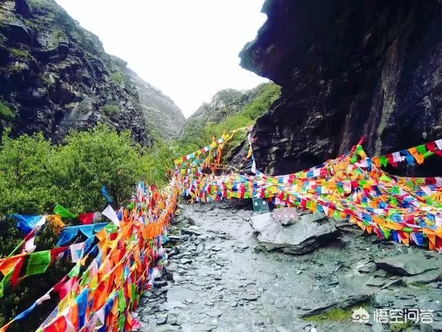 八九月份适合去哪里旅游？