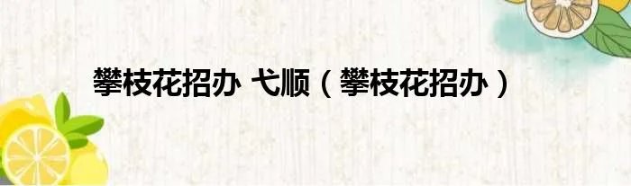 攀枝花招办 弋顺（攀枝花招办）